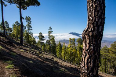 Landscaoe in Bejenado Peak in Caldera De Taburiente, La Palma, Canary Islands, Spain