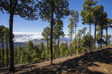Landscaoe in Bejenado Peak in Caldera De Taburiente, La Palma, Canary Islands, Spain