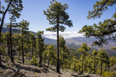Landscaoe in Bejenado Peak in Caldera De Taburiente, La Palma, Canary Islands, Spain