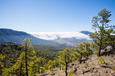 Landscaoe in Bejenado Peak in Caldera De Taburiente, La Palma, Canary Islands, Spain