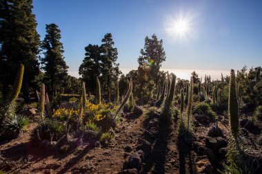 Sunset in Roque De Los Muchachos in Caldera De Taburiente, La Palma, Canary Islands, Spain