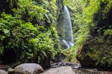Scene of Tilos waterfall in La Palma Island, Canary Islands, Spain.