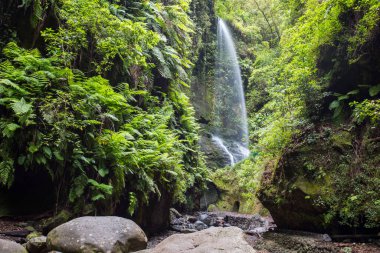 La Palma Adası, Kanarya Adaları, İspanya Tilos Şelalesi Sahnesi.