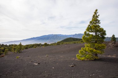 Sunset in Llano Del Jable, La Palma, Canary Islands, Spain.