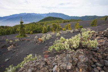 Sunset in Llano Del Jable, La Palma, Canary Islands, Spain.