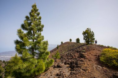 Birigoyo tepesine doğru yürüyen genç bir kadın, La Palma Adası, Kanarya Adaları, İspanya.