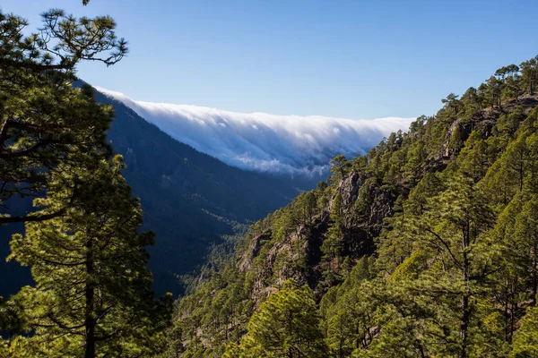 Landscaoe in Bejenado Peak in Caldera De Taburiente, La Palma, Canary Islands, Spain