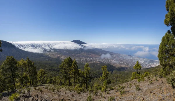 Landscaoe Bejenado Peak Caldera Taburiente Palma Canary Islands Spain — Foto de Stock