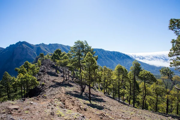 Bejenado Tepesi 'ndeki Landscaoe Caldera de Taburiente, La Palma, Kanarya Adaları, İspanya