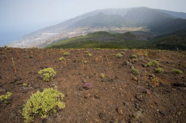 Scene of the Birigoyo peak, La Palma Island, Canary Islands, Spain.