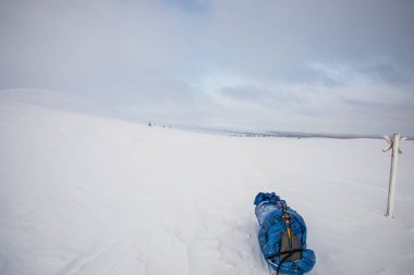 Pallas Yllastunturi Milli Parkı, Laponya, Finlandiya 'da kayak gezisi