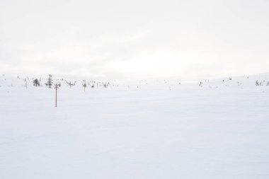 Winter landscape in Pallas Yllastunturi National Park, Lapland, northern Finland.