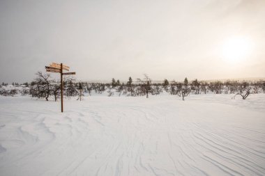 Pallas Yllastunturi Milli Parkı, Laponya, Finlandiya 'da kayak gezisi