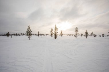 Winter landscape in Pallas Yllastunturi National Park, Lapland, northern Finland.