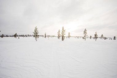 Pallas Yllastunturi Ulusal Parkı, Laponya, Finlandiya 'da kış manzarası