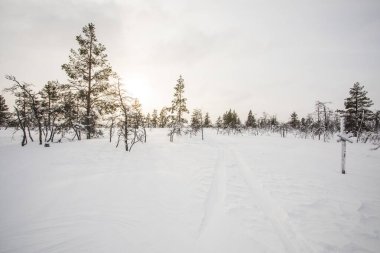 Winter landscape in Pallas Yllastunturi National Park, Lapland, northern Finland.