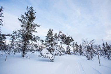 Winter landscape in Pallas Yllastunturi National Park, Lapland, northern Finland.