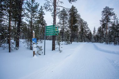 Ski expedition in Pallas Yllastunturi National Park, Lapland, northern Finland.