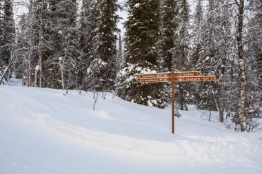 Ski expedition in Pallas Yllastunturi National Park, Lapland, northern Finland.