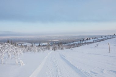 Pallas Yllastunturi Ulusal Parkı, Laponya, Finlandiya 'da kış manzarası