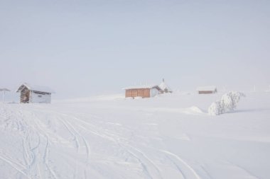 Ski expedition in Pallas Yllastunturi National Park, Lapland, northern Finland.