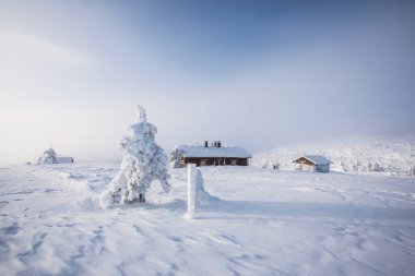 Ski expedition in Pallas Yllastunturi National Park, Lapland, northern Finland.