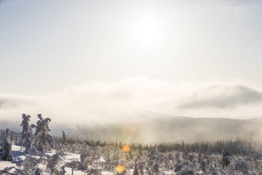 Winter landscape in Pallas Yllastunturi National Park, Lapland, northern Finland.
