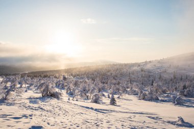 Winter landscape in Pallas Yllastunturi National Park, Lapland, northern Finland.