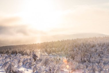Winter landscape in Pallas Yllastunturi National Park, Lapland, northern Finland.