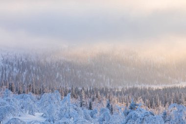 Winter landscape in Pallas Yllastunturi National Park, Lapland, northern Finland.
