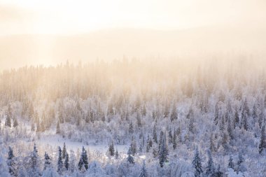 Winter landscape in Pallas Yllastunturi National Park, Lapland, northern Finland.