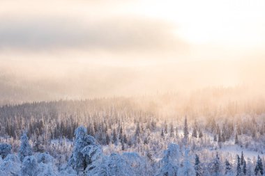 Winter landscape in Pallas Yllastunturi National Park, Lapland, northern Finland.