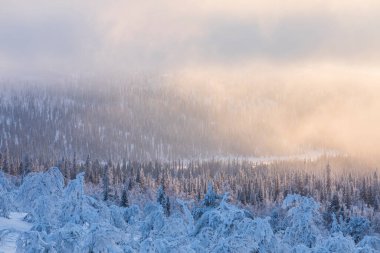 Winter landscape in Pallas Yllastunturi National Park, Lapland, northern Finland.