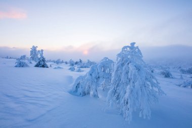 Winter landscape in Pallas Yllastunturi National Park, Lapland, northern Finland.