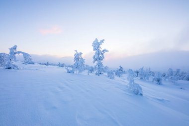 Winter landscape in Pallas Yllastunturi National Park, Lapland, northern Finland.