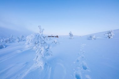 Winter landscape in Pallas Yllastunturi National Park, Lapland, northern Finland.
