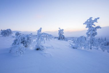 Winter landscape in Pallas Yllastunturi National Park, Lapland, northern Finland.