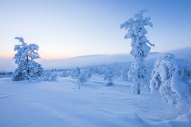 Winter landscape in Pallas Yllastunturi National Park, Lapland, northern Finland.