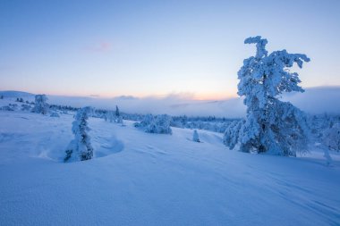 Winter landscape in Pallas Yllastunturi National Park, Lapland, northern Finland.