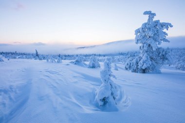 Winter landscape in Pallas Yllastunturi National Park, Lapland, Finland