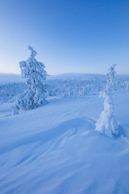 Winter landscape in Pallas Yllastunturi National Park, Lapland, northern Finland.