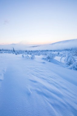 Winter landscape in Pallas Yllastunturi National Park, Lapland, northern Finland.