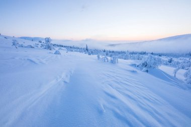 Winter landscape in Pallas Yllastunturi National Park, Lapland, northern Finland.