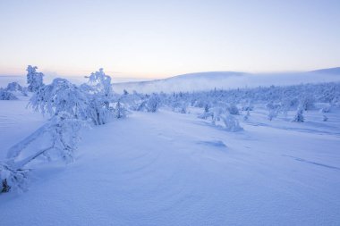 Winter landscape in Pallas Yllastunturi National Park, Lapland, northern Finland.