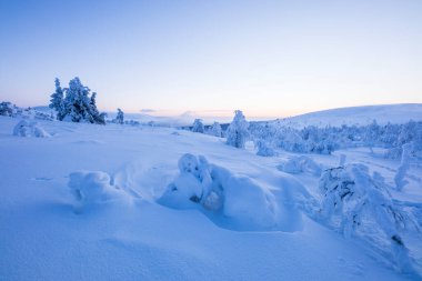 Winter landscape in Pallas Yllastunturi National Park, Lapland, northern Finland.