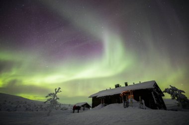 Northern lights in Pallas Yllastunturi National Park, Lapland, northern Finland