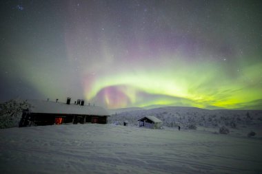 Northern lights in Pallas Yllastunturi National Park, Lapland, northern Finland