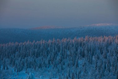 Winter sunrise in Pallas Yllastunturi National Park, Lapland, northern Finland.