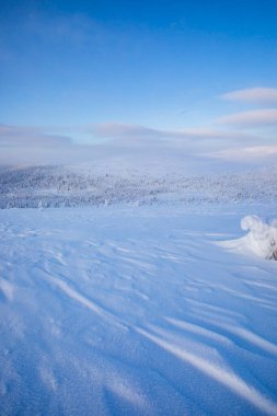 Pallas Yllastunturi Ulusal Parkı, Laponya, Finlandiya 'da kış manzarası