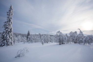 Winter landscape in Pallas Yllastunturi National Park, Lapland, Finland